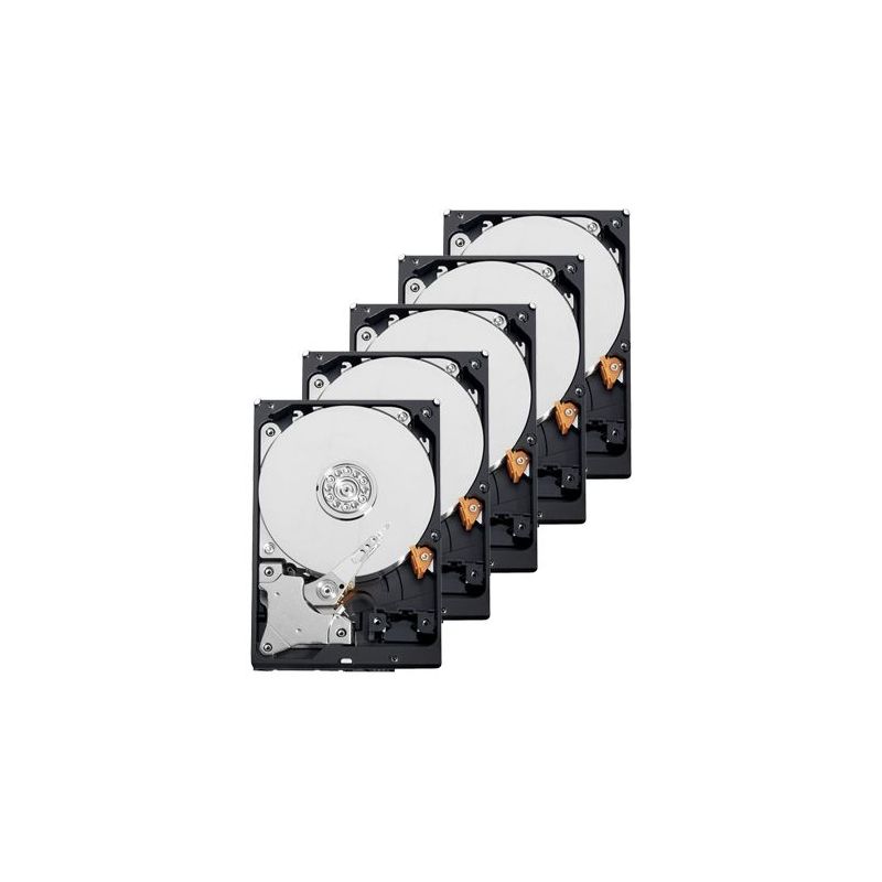 Seagate 10XHD1TB-S - Pack de discos duros, 10 unidades, Seagate,…