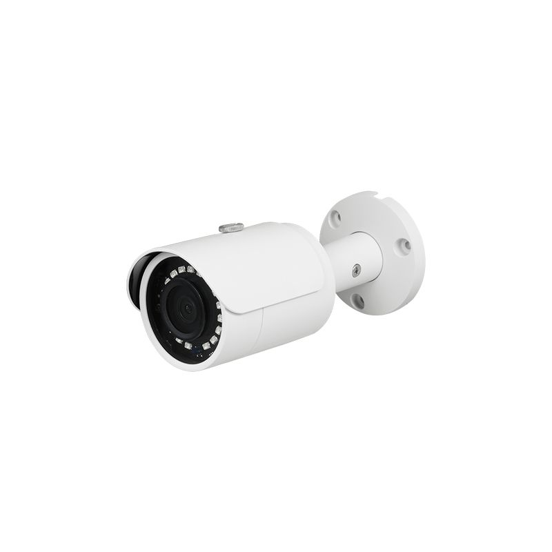Dahua IPC-HFW4120SP - Caméra IP 1.3 Megapixel, 1/3\" Progressive Scan CMOS,…