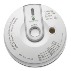 Visonic GSD-442 Detector de monóxido de carbono (CO)