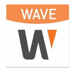 Wisenet WAVE-VW-02 Video Wall License. Management of 2 monitors.