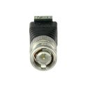 Safire CON290 - Safire, BNC male connector, Output +/ of 2 terminals,…