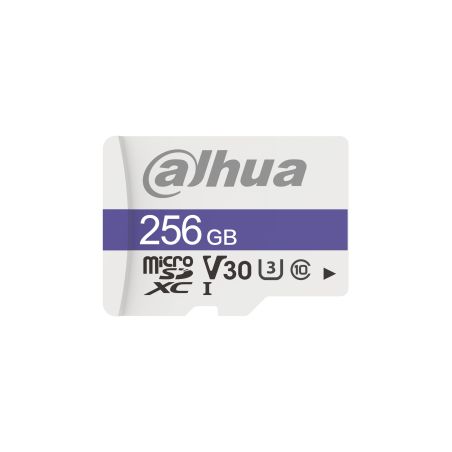 Dahua Technology C100 256 GB MicroSDXC UHS Classe 10