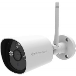 Ferguson Smart EYE 300 IP Cam - Cámara IP 1080p de exterior