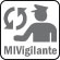MiVigilante (Automatic High) and P2P